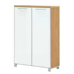 Wohnen Kommoden<2 türiger Schuhschrank Wynoca in Weiß Glas beschichtet