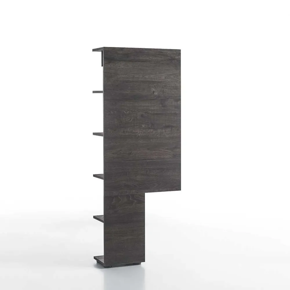 Wohnen Tv & Hifi-Möbel|Regale<Anstellregal Element Riconia in Wenge Braun