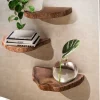 Wohnen Regale<Baumscheiben Wandboards aus Akazie Massivholz - Tofana (dreiteilig)