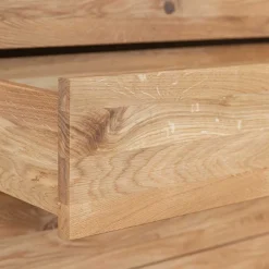 Wohnen Vitrinen<Design Eiche Schrank mit getönten Glastüren - Fabiella