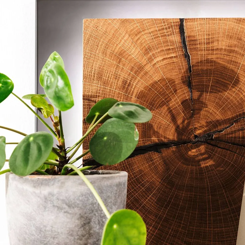 Wohnen Regale<Design Wandregal mit Beleuchtung - Drinidad