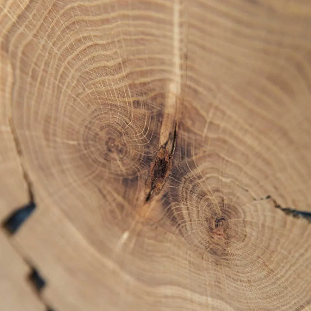 Wohnen Tv & Hifi-Möbel|Lowboards<Eichenholz TV Board mit Hirnholz Applikation - Deruta