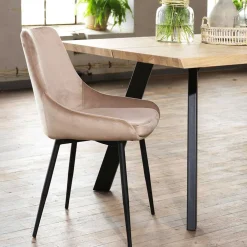 Wohnen Stühle<Esszimmer Samtstuhl in Beige - Vartinique (2er Set)