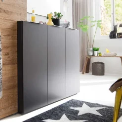 Wohnen Sideboards<Garderoben Sideboard Masculino in Anthrazit