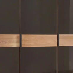 Wohnen Kleiderschränke|Schränke<Glasfront-Kleiderschrank mit fünf Türen - Hung