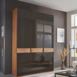 Wohnen Kleiderschränke|Schränke<Glasfront-Schlafzimmerschrank in Dunkelbraun - Hung