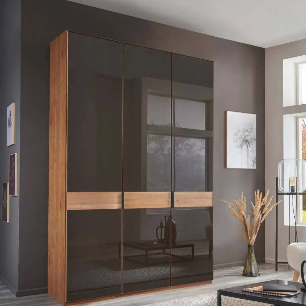 Wohnen Kleiderschränke|Schränke<Glasfront-Schlafzimmerschrank in Dunkelbraun - Hung