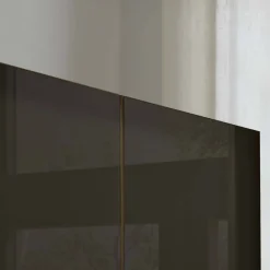 Wohnen Kleiderschränke|Schränke<Glasfront-Schlafzimmerschrank in Dunkelbraun - Hung
