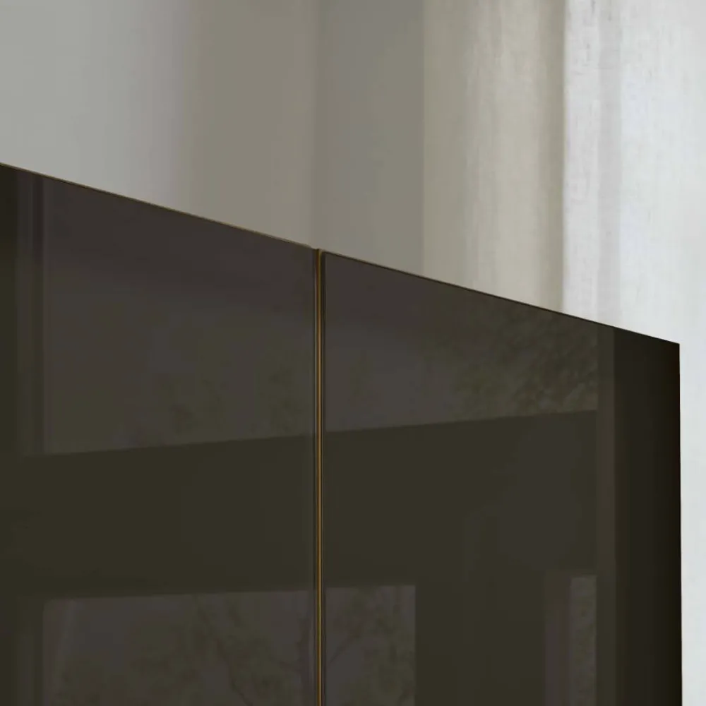 Wohnen Kleiderschränke|Schränke<Glasfront-Schlafzimmerschrank in Dunkelbraun - Hung