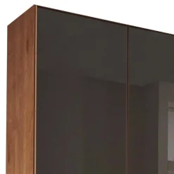 Wohnen Kleiderschränke|Schränke<Glasfront-Schlafzimmerschrank in Dunkelbraun - Hung