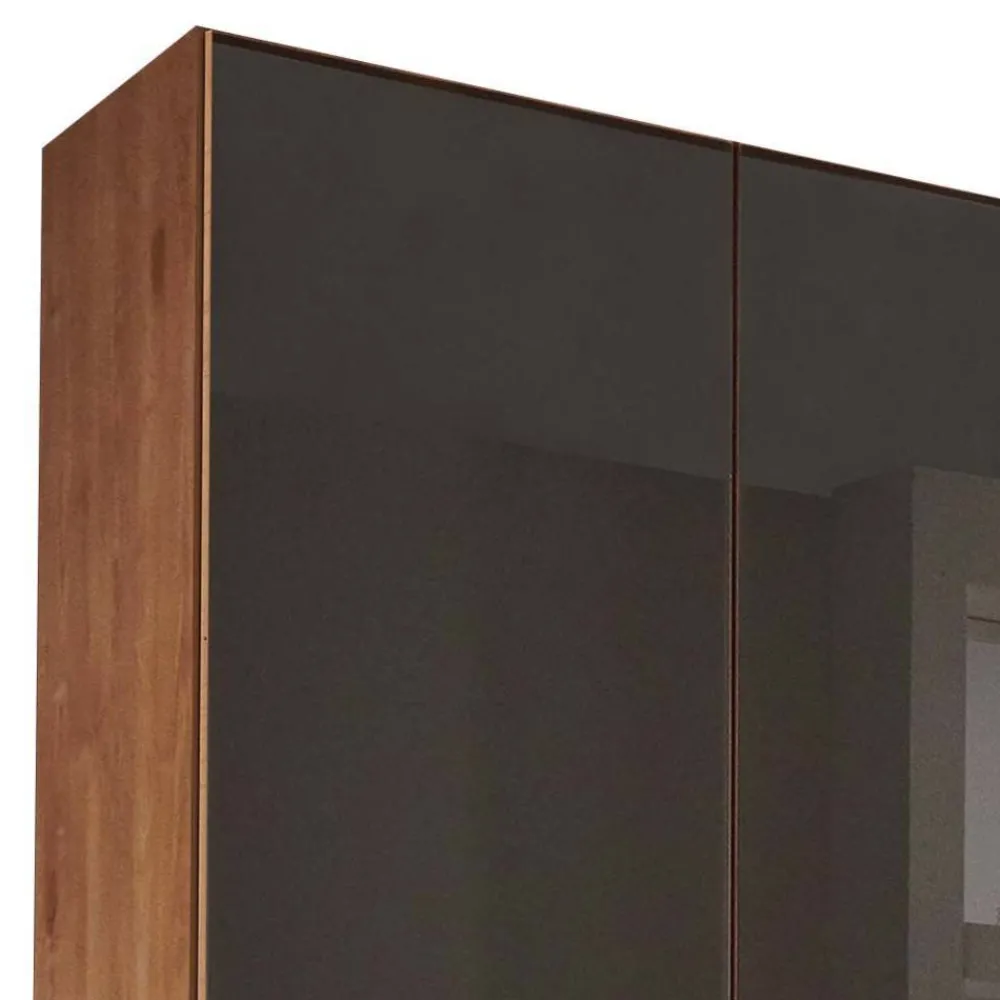 Wohnen Kleiderschränke|Schränke<Glasfront-Schlafzimmerschrank in Dunkelbraun - Hung