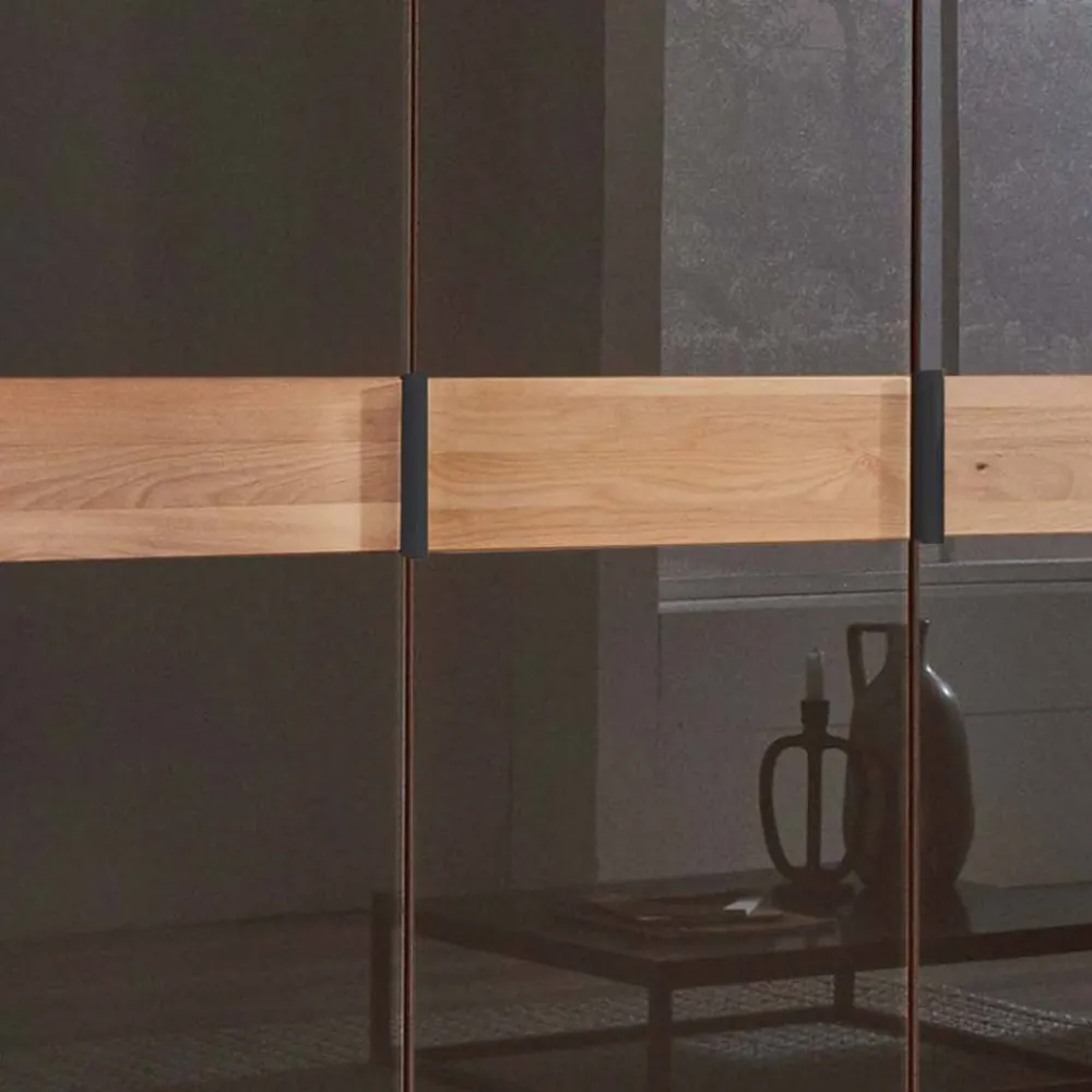 Wohnen Kleiderschränke|Schränke<Glasfront-Schlafzimmerschrank in Dunkelbraun - Hung