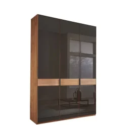 Wohnen Kleiderschränke|Schränke<Glasfront-Schlafzimmerschrank in Dunkelbraun - Hung