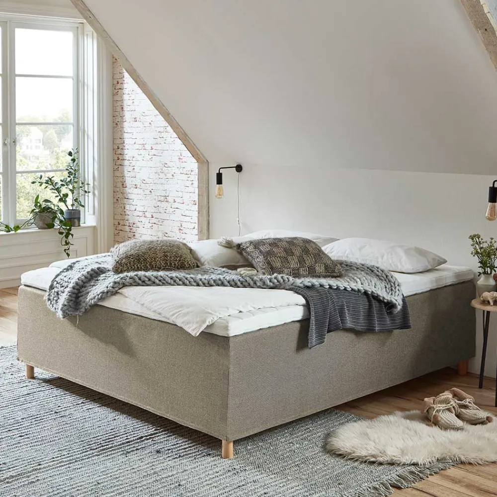 Wohnen Betten<H3 Polsterbett in Creme & Natur - Suvanica