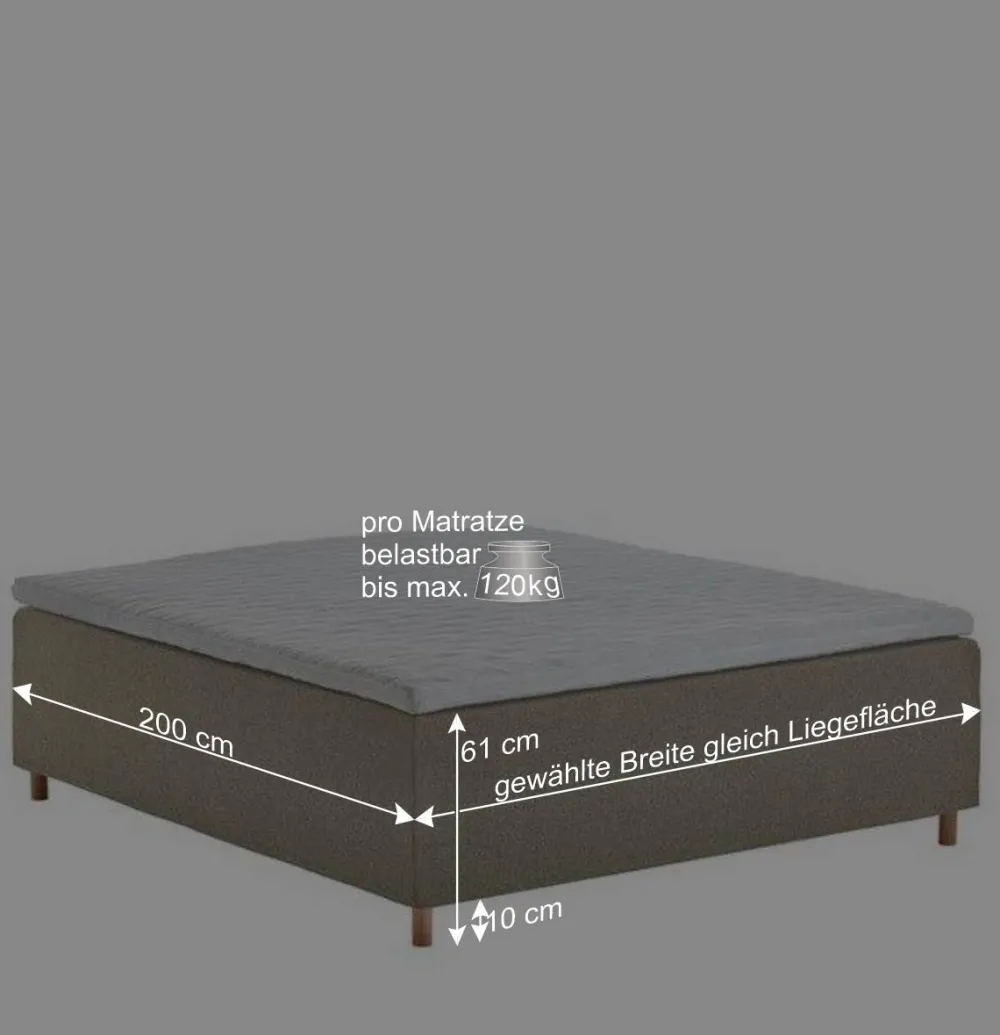 Wohnen Betten<H3 Polsterbett in Creme & Natur - Suvanica