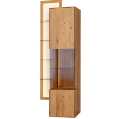 Wohnen Vitrinen<Hängende Vitrine mit Regal modern - Cocondar