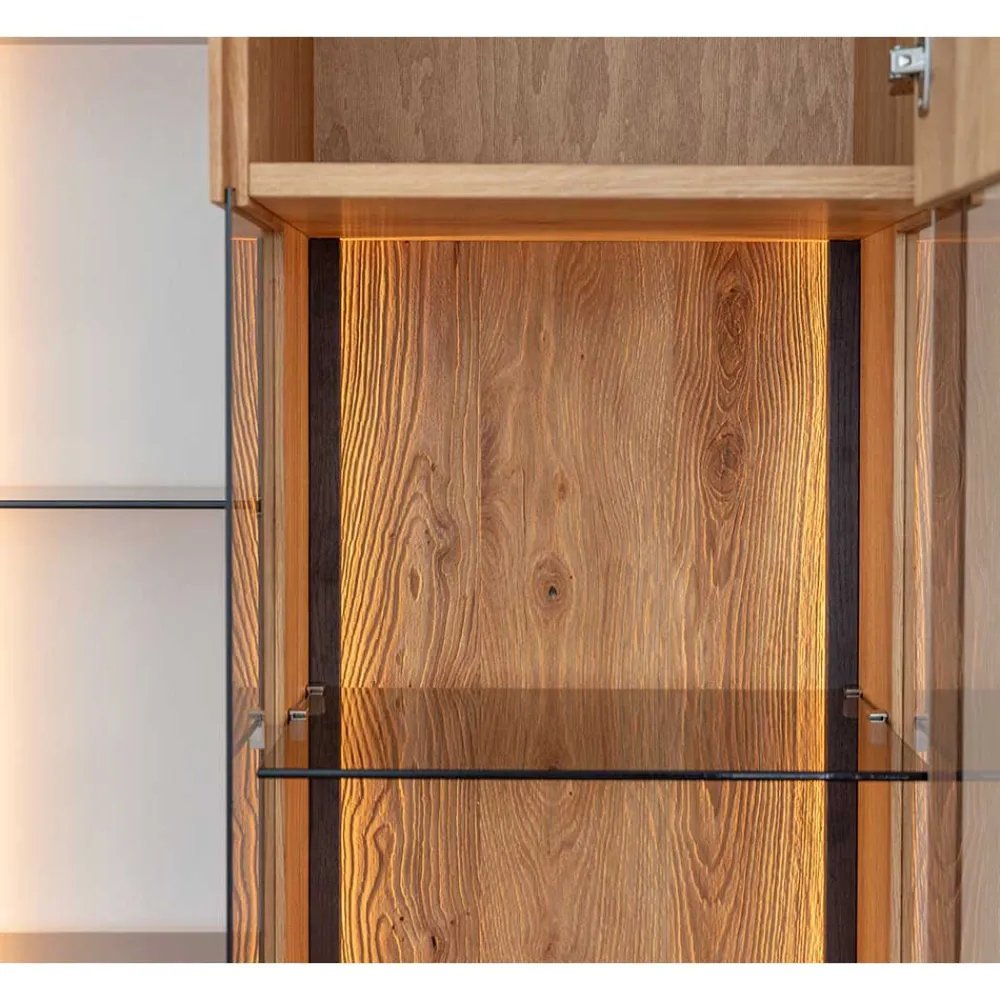 Wohnen Vitrinen<Hängende Vitrine mit Regal modern - Cocondar