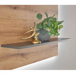 Wohnen Wohnwände<Hängende Wohnwand modern - Colomania (vierteilig)