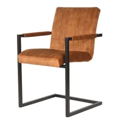 Wohnen Sessel|Stühle<Industrial Freischwinger mit Armlehnen - Allaire (2er Set)