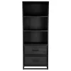 Wohnen Regale|Vitrinen<Industrial Regal in Schwarz mit 2 Schubladen - Esturado