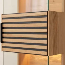 Wohnen Vitrinen<Massivholz Hängevitrine mit LED Beleuchtung - Eribella