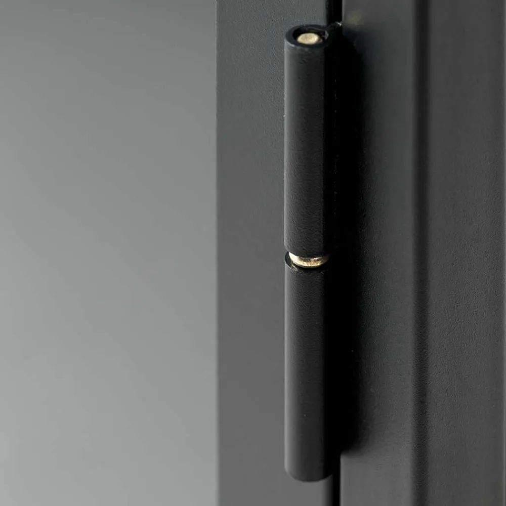 Wohnen Tv & Hifi-Möbel|Lowboards<Metall Lowboard Vitrine in Schwarz - Feliz