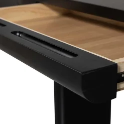 Wohnen Tische<Ovaler Design Schreibtisch in Schwarz Holzoptik - Belinda
