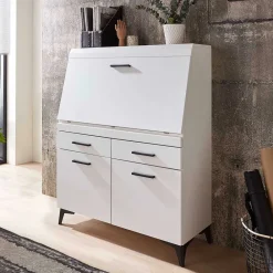 Wohnen Highboards|Tische<Schreibschrank mit Klappe & zwei Türen - Quakes