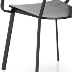 Wohnen Stühle<Schwarze Designstühle mit Armlehnen - Lejadro (4er Set)