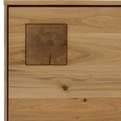 Wohnen Highboards|Vitrinen<1-türige Highboard Vitrine aus Wildeiche - Millena