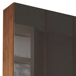 Wohnen Kleiderschränke|Schränke<6-türiger Schrank mit Glas Dunkelbraun - Hung