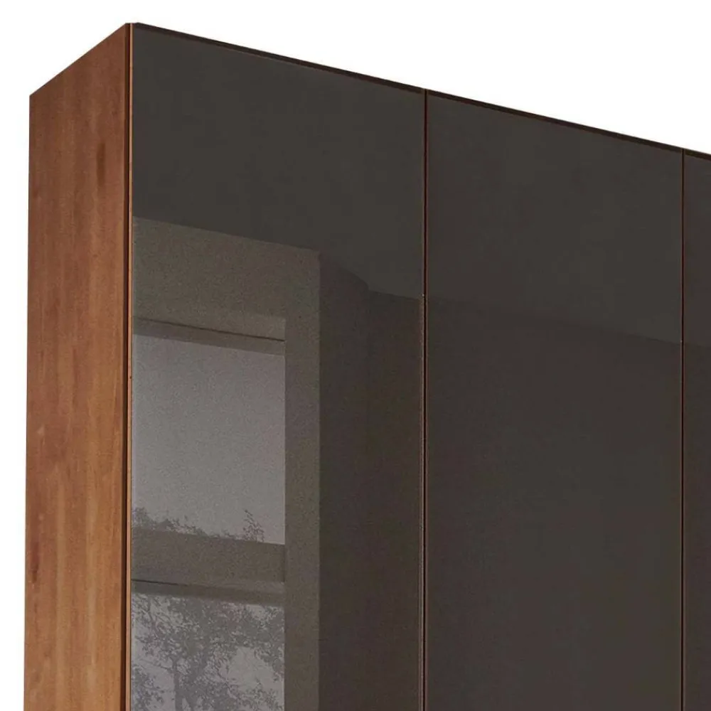 Wohnen Kleiderschränke|Schränke<6-türiger Schrank mit Glas Dunkelbraun - Hung