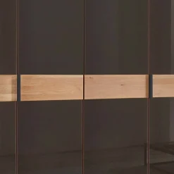 Wohnen Kleiderschränke|Schränke<6-türiger Schrank mit Glas Dunkelbraun - Hung