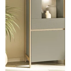 Wohnen Vitrinen<Vitrine in Eukalyptus und Eiche Optik - Promo