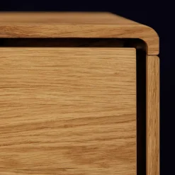 Wohnen Lowboards<Wildeiche Kombi-Kommode 1-türig - Eavy