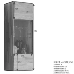 Wohnen Vitrinen<Wohnzimmer Hängeschrank mit Glas - Sinta