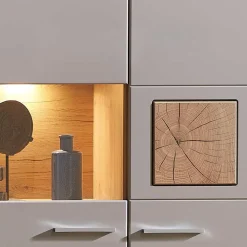 Wohnen Vitrinen<Wohnzimmer Hängeschrank mit Glaseinsatz in Grau - Fraguca