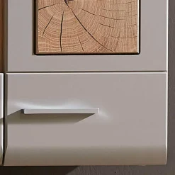 Wohnen Vitrinen<Wohnzimmer Hängeschrank mit Glaseinsatz in Grau - Fraguca