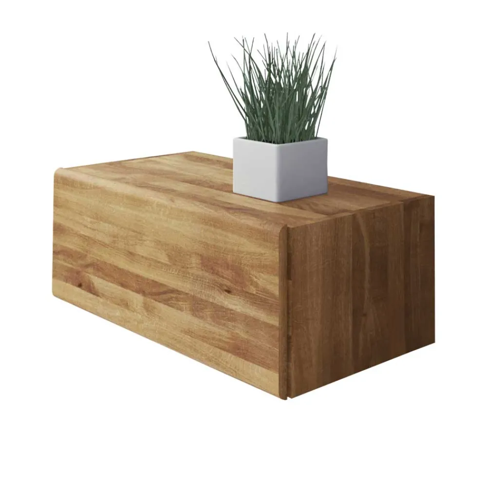 Wohnen Schränke<Wohnzimmer Hängeschrank Vaskov mit Klappe