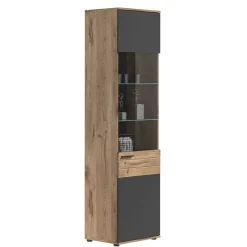 Wohnen Vitrinen<Wohnzimmer Vitrinenschrank in der Größe 57x200x37 cm - Lucios
