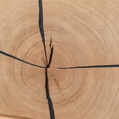 Wohnen Vitrinen<Wohnzimmerschrank aus Eiche und Glas - Masicuri