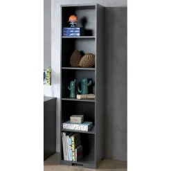 Wohnen Regale|Vitrinen<46x196x45 5 Fächer Regal in Anthrazit - Navlius