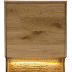 Wohnen Vitrinen<43x169x33 cm Hängevitrine aus Wildeiche - Obinson