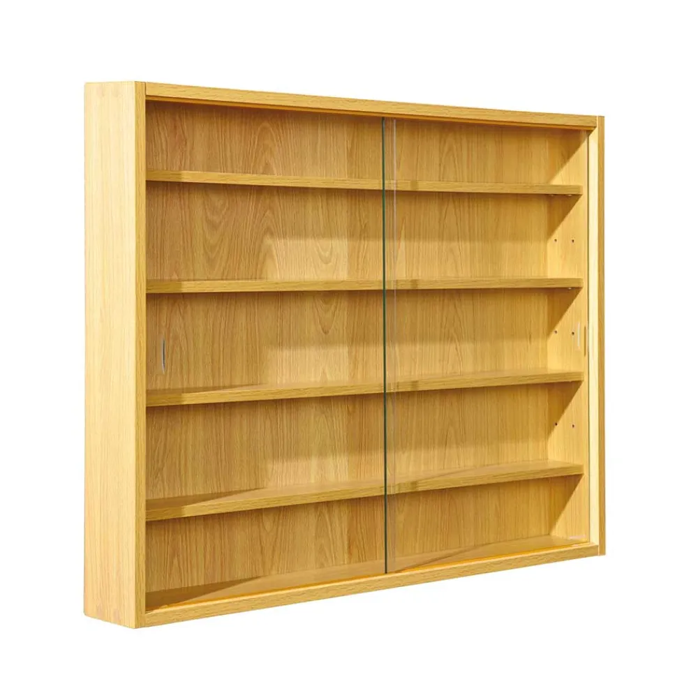 Wohnen Vitrinen<80x60x10 cm Hängevitrine Sammelvitrine 2-türig - Grands