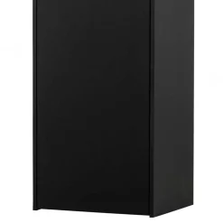Wohnen Vitrinen|Schränke<44x188x35 cm 1-türiger Schrank in Schwarz lackiert - Riley