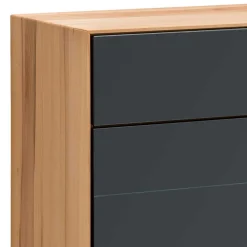 Wohnen Sideboards<120x87x40 Flur Kommode in Anthrazit Glas - Mandrey
