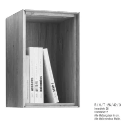 Wohnen Regale<26x42x30 Hängeregal Fach mit Rückwand - Sinta