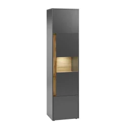 Wohnen Vitrinen<50x197x40 Hoher Wohnzimmerschrank mit Glaseinsatz - Ahilav