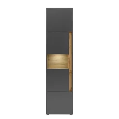 Wohnen Vitrinen<50x197x40 Hoher Wohnzimmerschrank mit Glaseinsatz - Ahilav