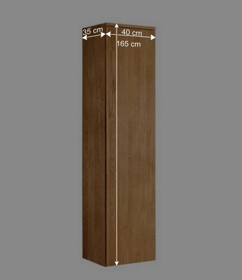 Wohnen Schränke<40x165x35 1-türiger Schrank für die Wandmontage - Sotunes